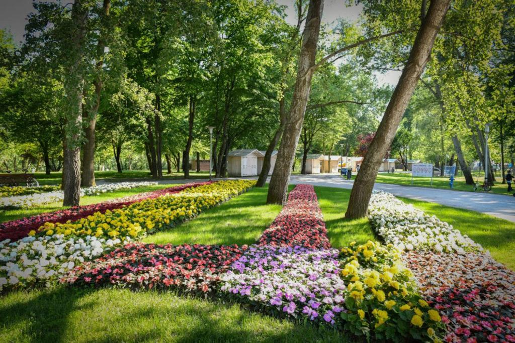 Lola Suite Zagreb Bagian luar foto